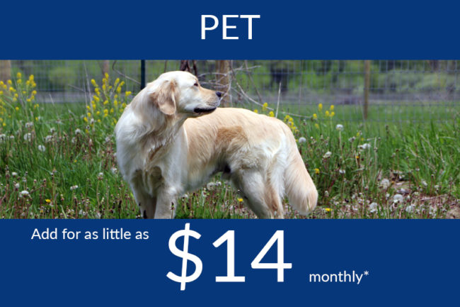 pet insurance pet insurance