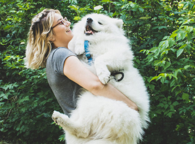 Pet insurance pet insurance